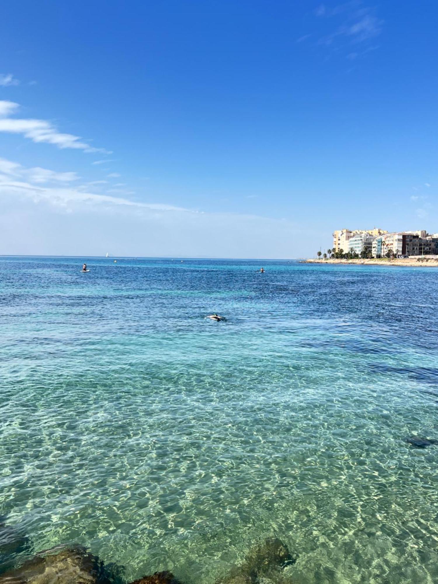 Renovated Cosy Studio 350 M Playa Del Cura, With Official Touristic License Torrevieja Extérieur photo